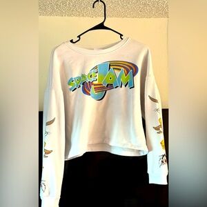 I am selling a long sleeved crop-top.